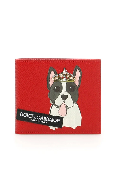 Shop Dolce & Gabbana Dog Print Wallet In Red