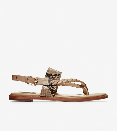 Shop Cole Haan Anica Braided Thong Sandal In Brown