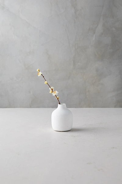 Shop Anthropologie Matte Terracotta Bud Vase, Low In White