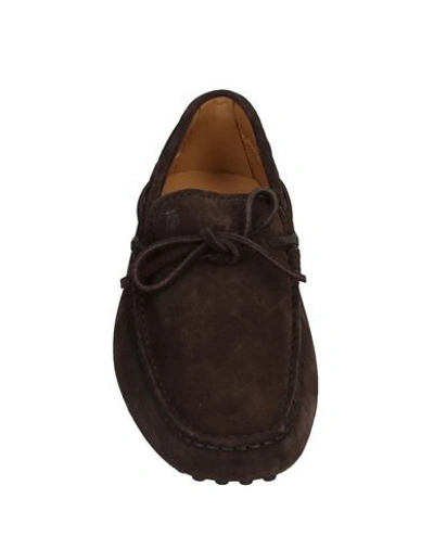 Tod's Suede Loafers In Dark Brown
