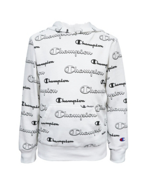 toddler champion sweater