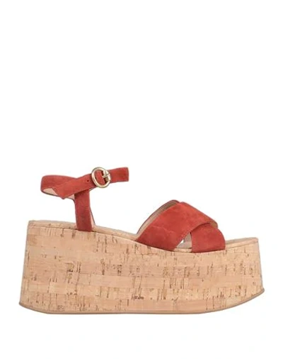Shop Gianvito Rossi Woman Sandals Rust Size 8 Soft Leather In Red