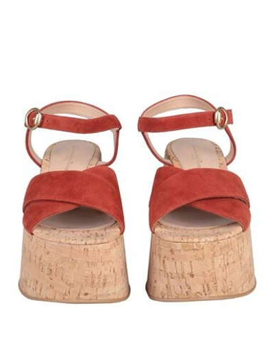 Shop Gianvito Rossi Woman Sandals Rust Size 8 Soft Leather In Red