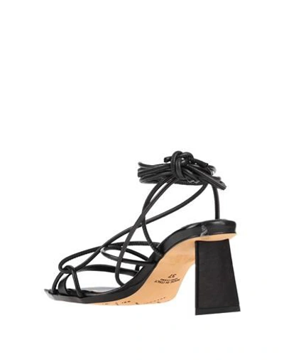 Shop Malloni Sandals In Black