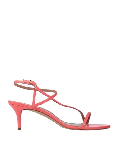 Shop Pura López Sandals In Coral