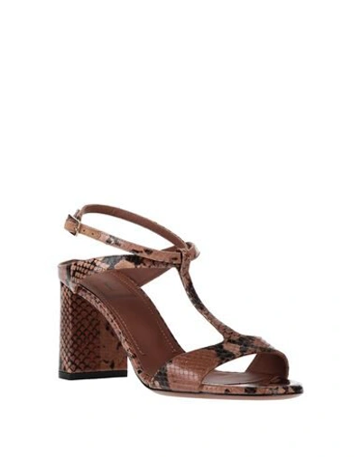 L'autre Chose Sandals In Brown