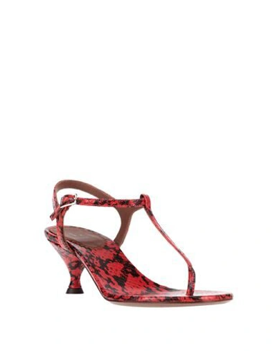L'autre Chose Toe Strap Sandals In Red