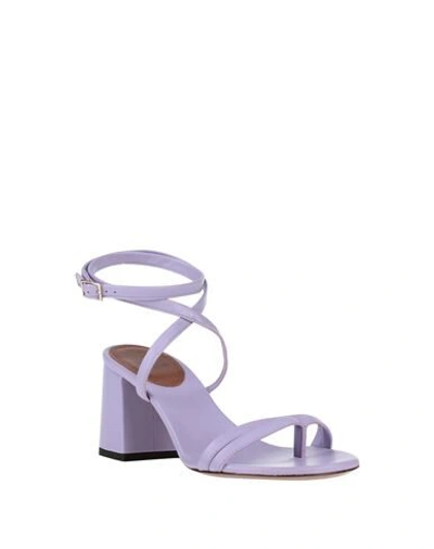 Shop L'autre Chose L' Autre Chose Woman Toe Strap Sandals Lilac Size 10 Soft Leather In Purple