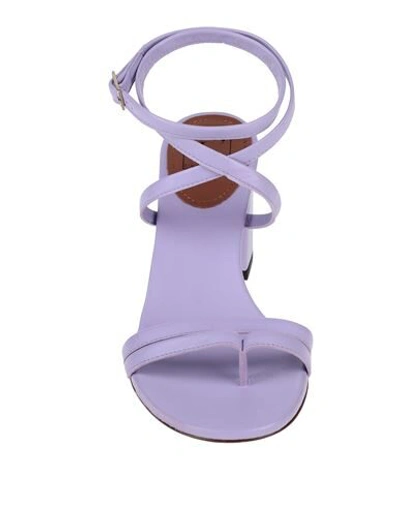 Shop L'autre Chose L' Autre Chose Woman Toe Strap Sandals Lilac Size 10 Soft Leather In Purple