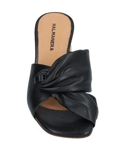 Shop Halmanera Sandals In Black