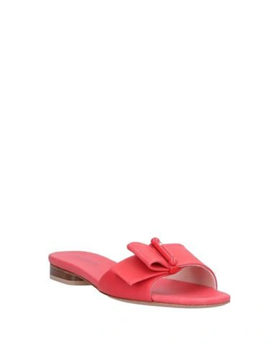Shop Anna Baiguera Woman Sandals Coral Size 8 Soft Leather In Red