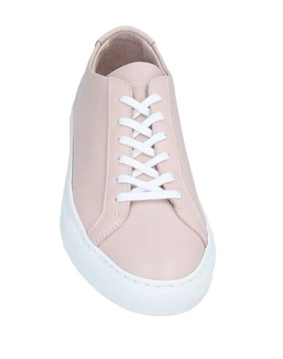 Shop Common Projects Sneakers In Light Pink