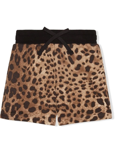 Shop Dolce & Gabbana Leopard Pattern Shorts In Brown