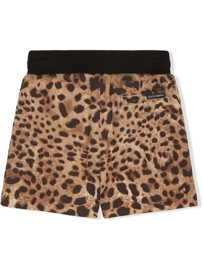 Dolce & Gabbana Jersey Bermuda Jogging Shorts With Leopard Print In Brown