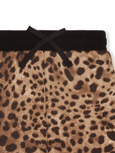 Dolce & Gabbana Jersey Bermuda Jogging Shorts With Leopard Print In Brown