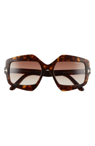 Shop Tom Ford Tate 55mm Gradient Geometric Sunglasses In Dark Havana/ Gradient Brown