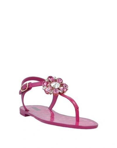Shop Dolce & Gabbana Woman Thong Sandal Fuchsia Size 4 Rubber, Calfskin In Pink