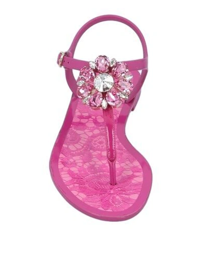 Shop Dolce & Gabbana Woman Thong Sandal Fuchsia Size 4 Rubber, Calfskin In Pink