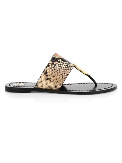 Shop Tory Burch Women's Patos Disk-embellished Snakeskin-embossed Leather Thong Sandals In Roccia