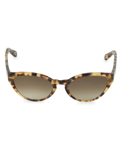 Shop Chloé Willow 55mm Cat Eye Sunglasses In Havana