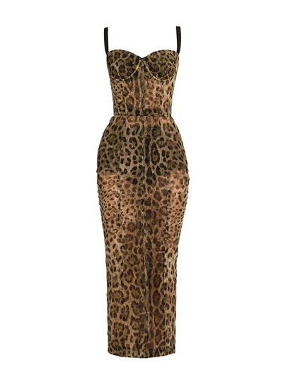 Shop Dolce & Gabbana Leopard-print Tulle Pencil Midi Dress