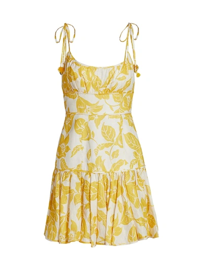 Shop Zimmermann Bells Fit & Flare Mini Dress In Yellow Floral