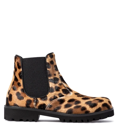 Shop Dolce & Gabbana Leopard-print Calf-hair Ankle Boots In Brown