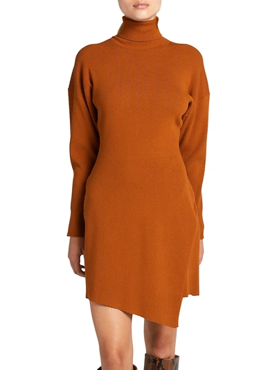 Shop A.l.c Virgo Turtleneck Sweater Dress In Allspice