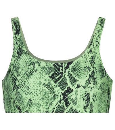 Shop Alo Yoga Vapor Snake-print Sports Bra In Green