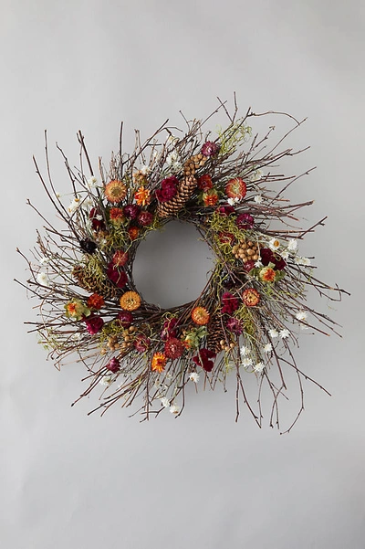 Terrain Birch + Preserved Ammobium Wreath In Purple