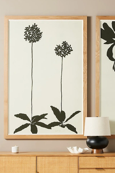Shop Susan Hable For Soicher Marin Allium Wall Art In Black