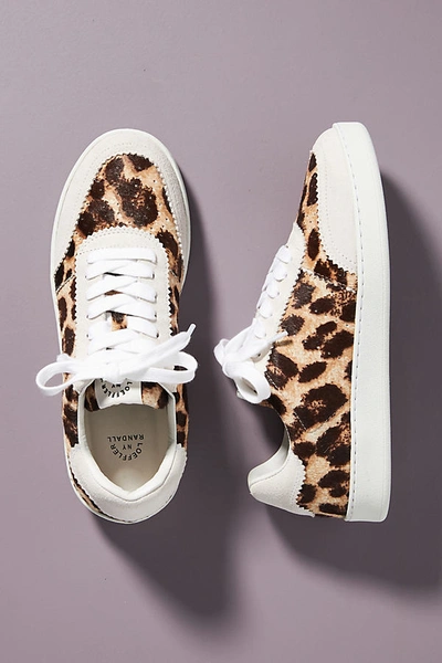 Shop Loeffler Randall Keeley Leopard Sneakers In Assorted