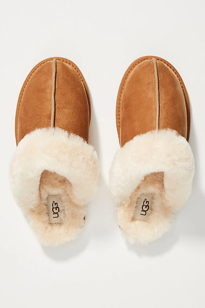 Shop Ugg Scuffette Slippers In Yellow