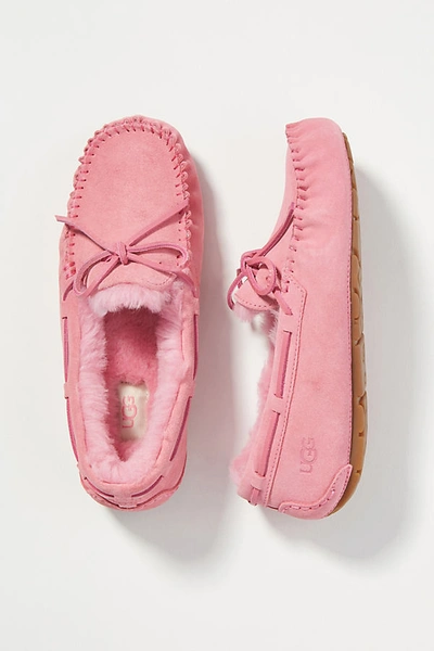 Shop Ugg Dakota Moc Slippers In Pink