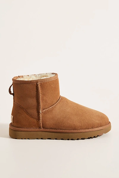 Ugg Classic Mini Ii Genuine Shearling Lined Boot In Yellow