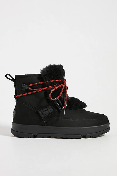 Shop Ugg Classic Hiker Boots In Black