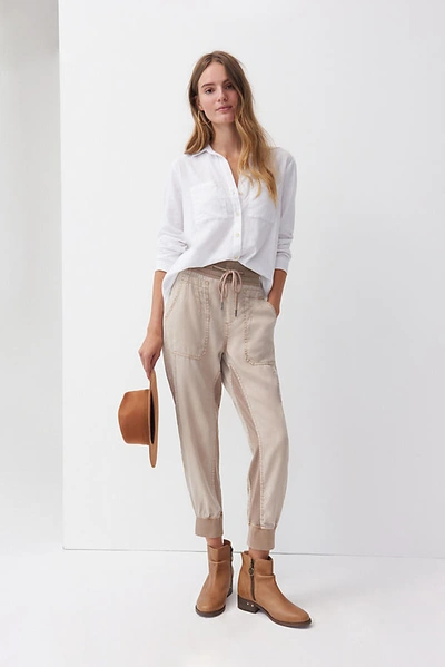 Shop Anthropologie The Nomad Joggers In Brown