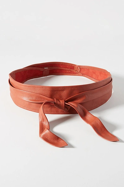 Shop Ada Classic Wrap Belt In Brown