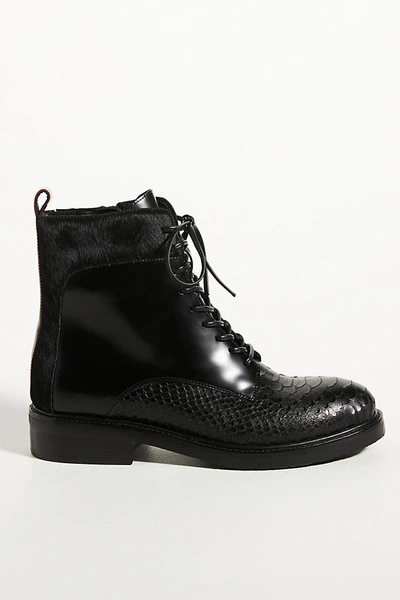 Shop Jeffrey Campbell Fisher Lace-up Boots In Black