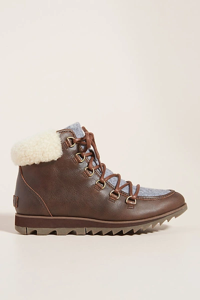 Shop Sorel Harlow Cozy Lace-up Boots In Purple