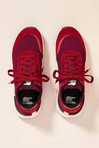 Shop Sorel Kinetic Lite Sneakers In Red