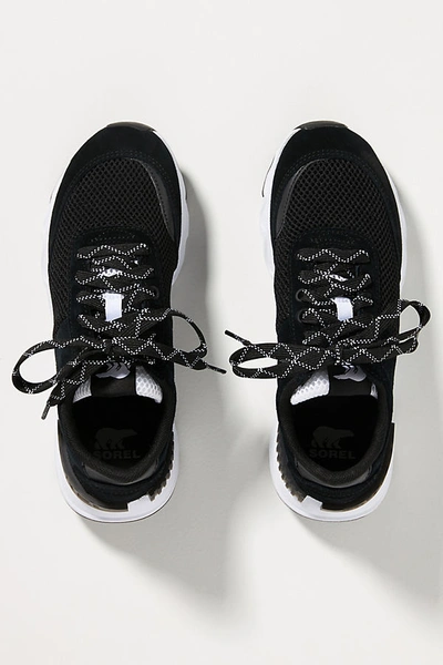 Shop Sorel Kinetic Lite Sneakers In Black