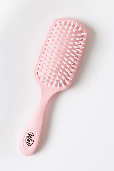 Shop Wet Brush Go Green Oil-infused Shine Detangler Brush In Pink