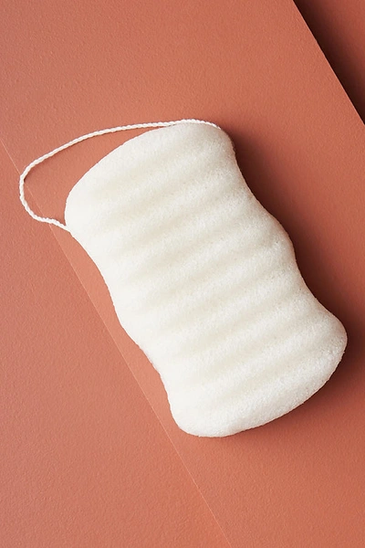 Shop Nash & Jones Konjac Body Sponge In White