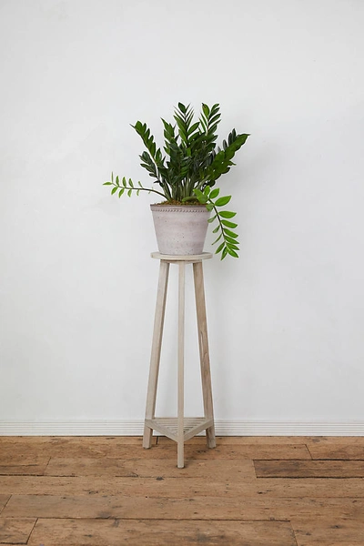Shop Anthropologie Three Leg Plant Stand In Assorted
