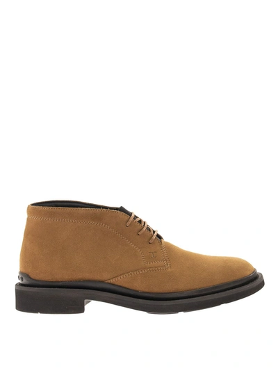 Shop Tod's Suede Desert Boots In Camel