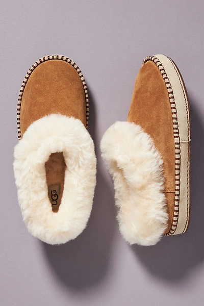 Uggs best sale wrin slippers