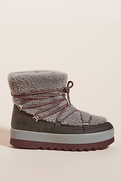 Shop Cougar Verity Shearling Weather Boots In Grey