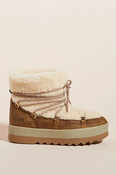 Shop Cougar Verity Shearling Weather Boots In Yellow