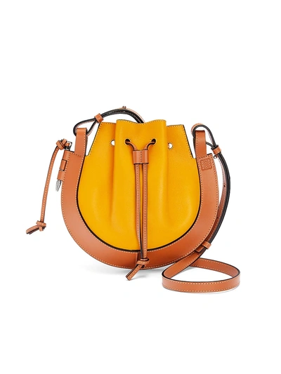 Shop Loewe Women's Small Horseshoe Colorblock Leather Saddle Bag In Yellow